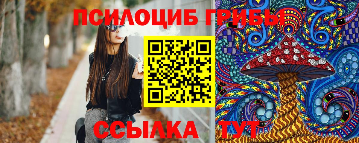 Галлюциногенные грибы MAGIC MUSHROOMS  Вход с VPN  Заводоуковск 